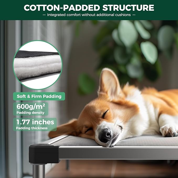 FXW TitanNest Chew-Proof Elevated Dog Bed, Raised Cot for Indoor/Outdoor/Camping Use, Durable & Washable Padded Pet Bed for Small Dogs, 35.0" L x 22.0" W x 4.5" H, Black
