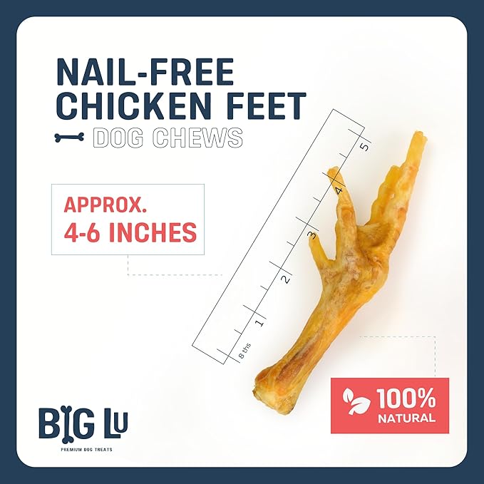 Big Lu – Nail-Free Chicken Feet Dog Chews, 100% Natural Single-Ingredient Treats, Rawhide-Free, Long-Lasting, Rich in Glucosamine and Chondroitin for Joint Health (30 Count, Chicken Feet)