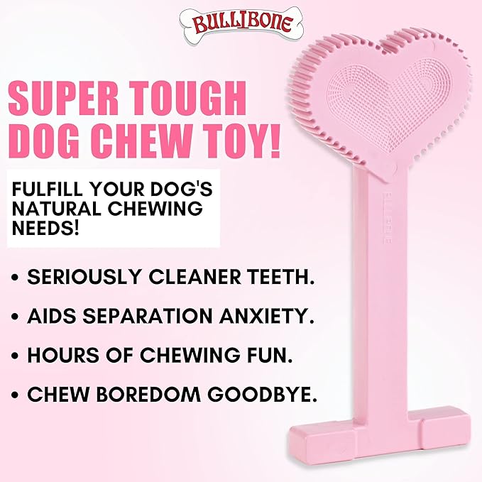 Bullibone Nylon Dog Chew Toy Nylon Bone - Improves Dental Hygiene, Easy to Grip Bottom, and Permeated with Flavor (Peppermint, Large - 3 Pack)