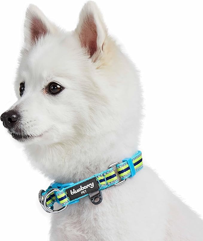 Blueberry Pet Safety Dog Collar with Dual D-Rings | 3M Reflective Multi-Colored Adjustable Collar in Blue and Yellow | Soft Nylon Dog Collar for Active Small Dogs