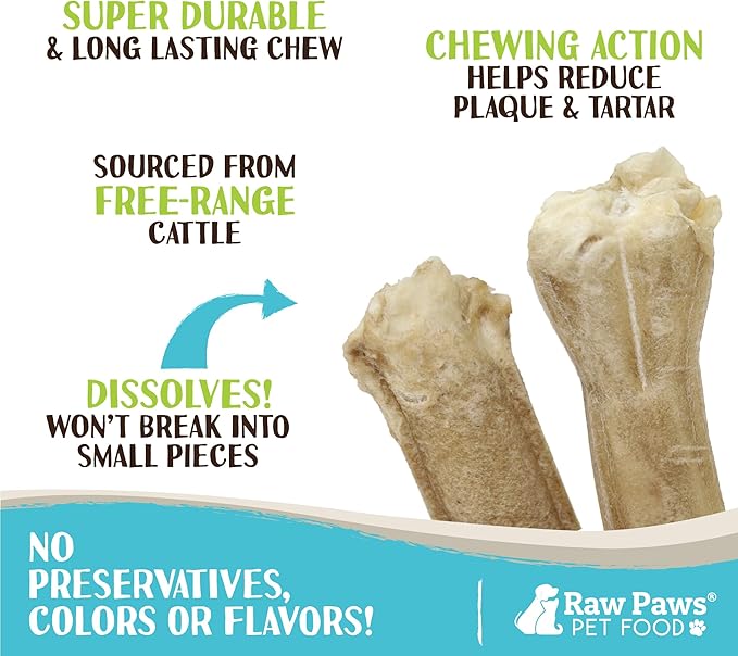 Raw Paws Compressed Rawhide Chews for Small Dogs (10 Pack) - Natural Raw Hides Small Dogs - Single Ingredient Dog Bones - Puppy Chew Bones - Puppy Teething Chews