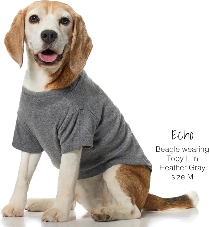 Toby II - The Perfect Tee, 3 Pack Short Sleeve Pet T-Shirt 100% Organic Cotton Tees Clothes for Small, Medium, Large Dogs, Gray Ombre, XX-Small