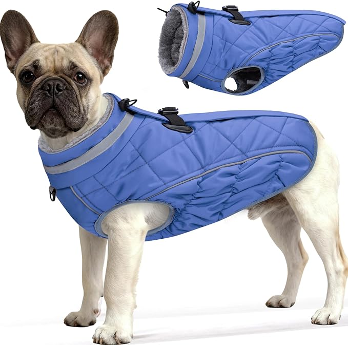 Dog Coat, Warm Dog Winter Coat for Small Dogs, Waterproof Jacket with Harness Built in, Reflective Turtleneck Cold Weather Coats with Zipper,Pet Fleece Vest Snow Jacket, Blue XS