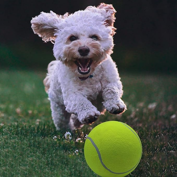 Magicorange 4 Pack 9.5 inch Giant Tennis Ball Large Dog Tennis Ball Pet Balls for Dogs for Outdoor/Indoor Sports Dog Gift with Needle (Yellow, 9.5 inch)