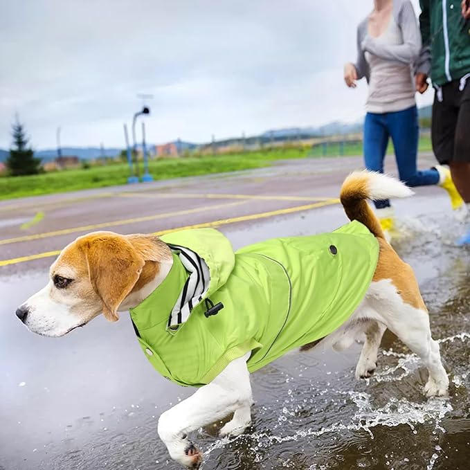 Dog Raincoat Waterproof Raincoats Dog rain Jacket Buttons Zipper Hood Drawstring Suitable for Small Medium Yorkie Terrier Schnauzer Poodle Border Collie Labrador 8lbs to 80lbs Green L