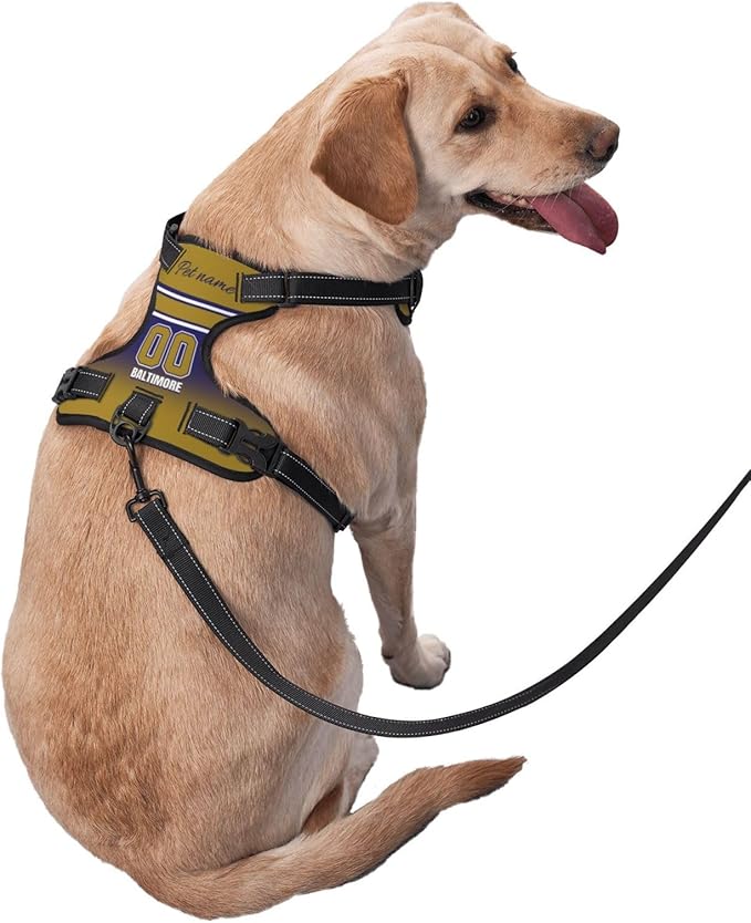 Custom Baltimore Dog Harness with Reflective Stripes Personalized Name and Number Dog Vest Harness with Pet Traction Rope for Small Medium Large Dog