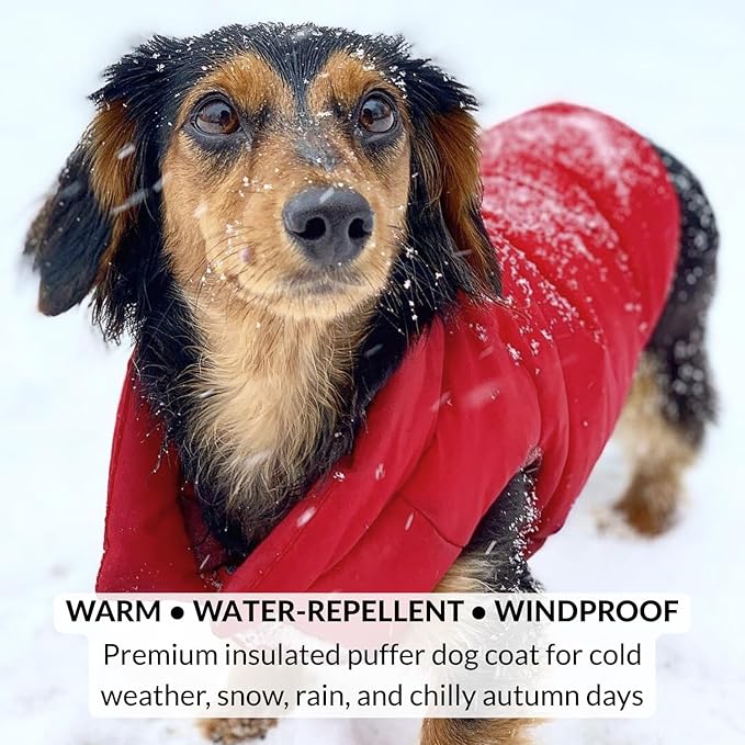 DJANGO Reversible Puffer Dog Coat – Warm Winter Dog Jacket & Water-Repellent Insulated Dog Coat with Harness Hole, Windproof, Adjustable Fit for Small & Medium Dogs, Dachshunds – Lava Red, Large