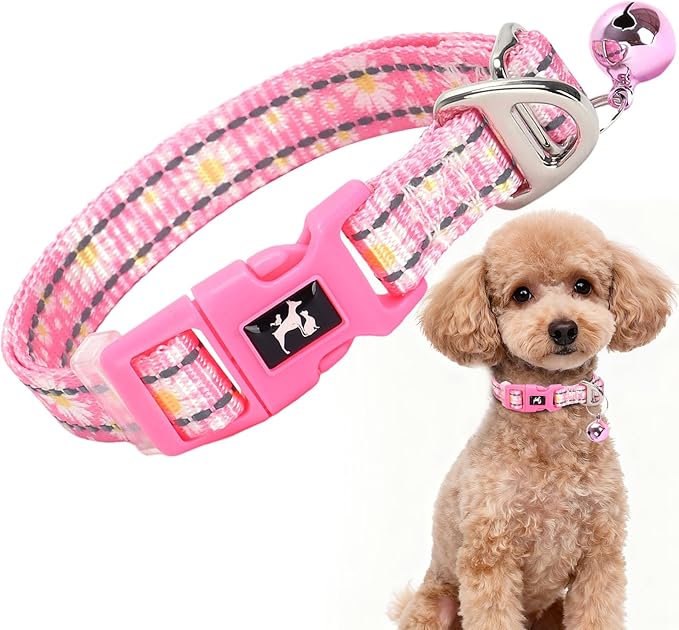 Daisy Reflective Nylon Puppy Collar with Bell - Adjustable XXS/XS Small Dog Collar for Chihuahua, Pomeranian, Yorkie - Lightweight & Comfortable for Night Walks & Indoor Play (XS, Pink)