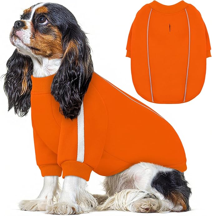 Queenmore Cozy Fleece Dog Sweater XS, Soft Pullover Dog Sweatshirt, Warm Winter Fleece Jacket with Leash Hole/Reflective Stripes for Small Medium Large Dogs Orange
