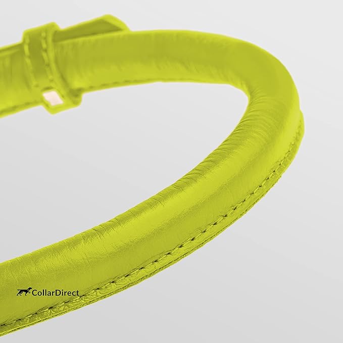 CollarDirect Rolled Leather Dog Collar, Soft Padded Round Puppy Collar, Handmade Genuine Leather Collar Dog Small Large Cat Collars 13 Colors (18-22 Inch, Lime Green Textured)