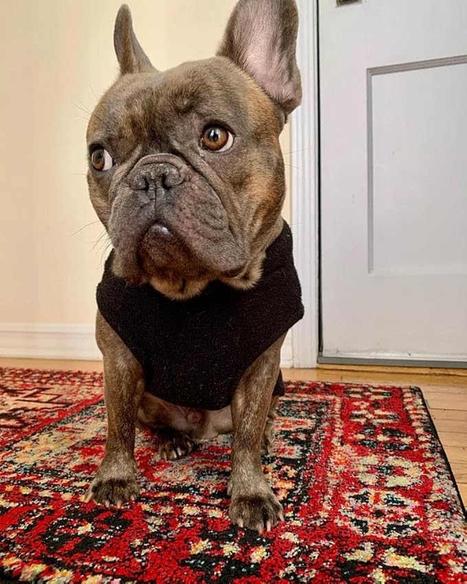 Gooby - Stretch Fleece Vest, Pullover Fleece Vest Jacket Sweater for Dogs, Black, 2X-Large