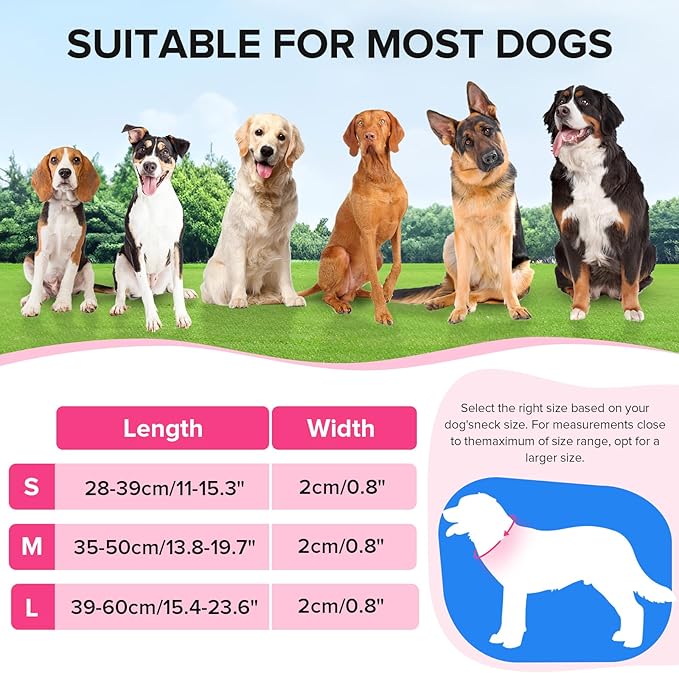 Light Up Dog Collar, Adjustable USB Rechargeable Glow in Dark Dog Collar ，Waterproof Dog Collars for Large Dogs (Pink, Large)