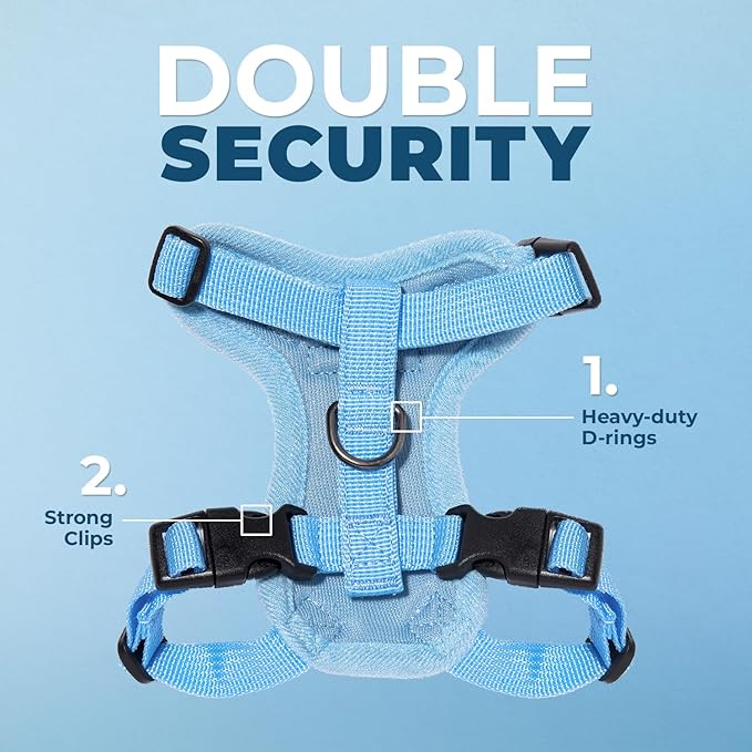 Voyager Step-in Lock Adjustable Cat Harness w. Cat Leash Combo Set with Neoprene Handle 5ft - Supports Small, Medium and Large Breed Cats by Best Pet Supplies - Baby Blue, XXS