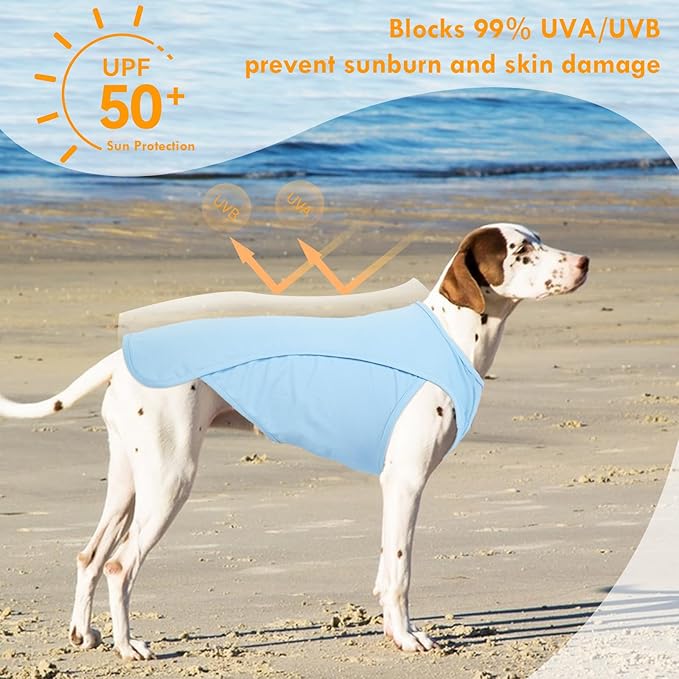 2 Pack Dog Shirt, Quick Dry Cooling Tshirts for Dogs Large, Breathable Durable UPF50+ Summer Clothes, Lightweight Prevent Overheating Vest, Blue+Grey, 3XL
