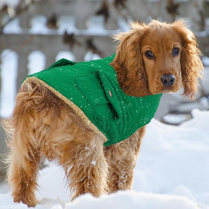 Queenmore Warm Dog Coat, Cold Weather Puffer Dog Coat Vest, Quilting Winter Pet Jacket Ultra Thick Plush Fleece Lining Pet Clothes for Dogs with Storage Pockets (Forest Green, X-Small)