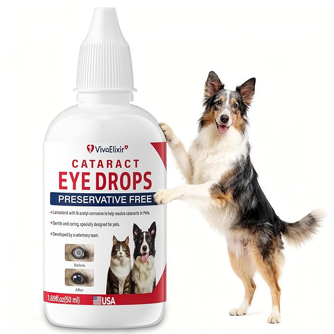 Cataract drops for dogs– Dog Eye Drops Improve Vision Clarity, Improve Eye Vision and Cataracts– 2.03 fl oz (60 mL)