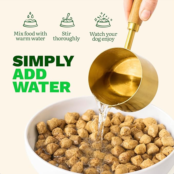 Get Joy Freeze Dried Raw Beef Dog Food, High Protein Grain Free Meal, Topper & Treat, Gut Health Support with Probiotics, Small to Large Breed, 16oz Bag