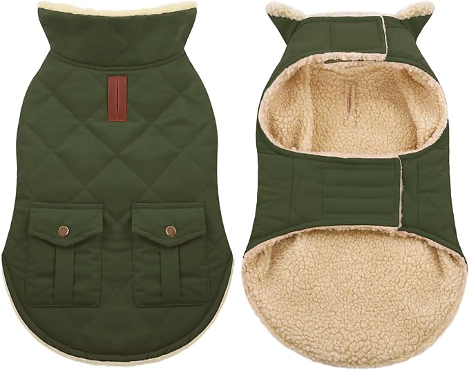 ASENKU Warm Dog Winter Coat, Waterproof Dog Coat for Cold Weather, Fleece Dogs Jacket with Ultra Thick Plush Lining Leash Hole Storage Pockets for Large Dogs (Green, Large)
