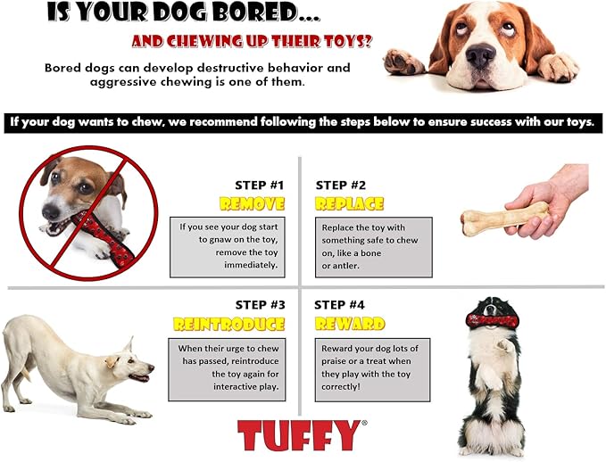 TUFFY - World's Tuffest Soft Dog Toy - Ocean Larry Lobster -Squeakers - Multiple Layers. Made Durable, Strong & Tough. Interactive Play (Tug, Toss & Fetch). Machine Washable & Floats. (Combo Pack)