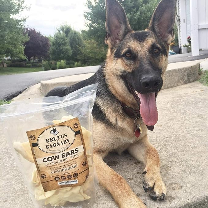 BRUTUS & BARNABY 12 Cow Ears + 15 Gullet Treats, All Natural Whole Dog Treats