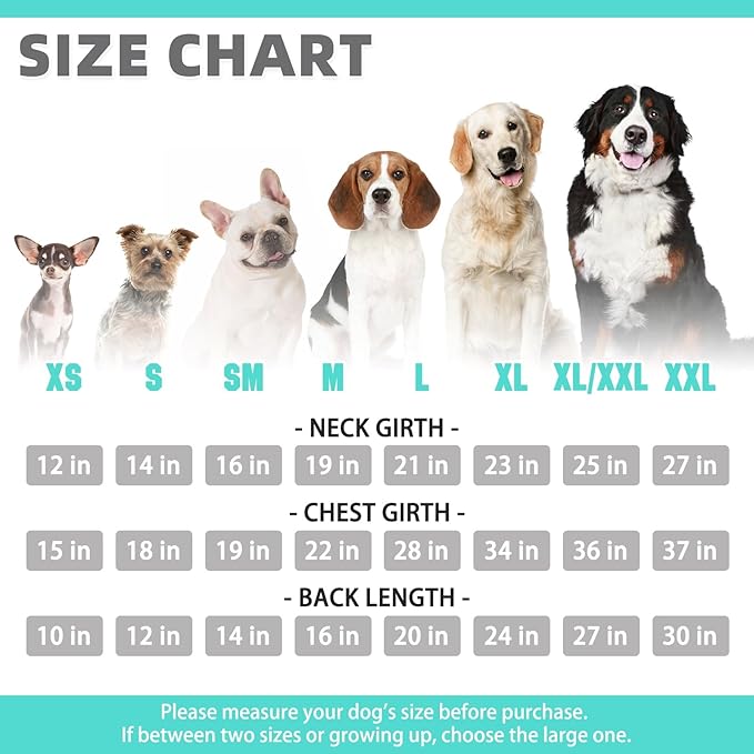 KOOLTAIL Basic Dog Hoodie - Soft and Warm Pet Hoodie Sweater with Leash Hole and Pocket, Dog Winter Coat, Cold Weather Clothes Sweatshirt for Small Medium Large Dogs Puppy Cat Boys Girls XL/XXL