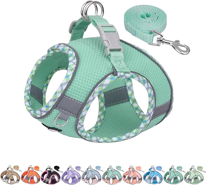 AIITLE Teacup Puppy Harness with Leash - Adjustable Soft Vest with Magic Tape & Reflective Safety Strips, Easy-Put-On for Poodles, Pomeranians - Gym, Hiking, Travel (Turquoise, S)