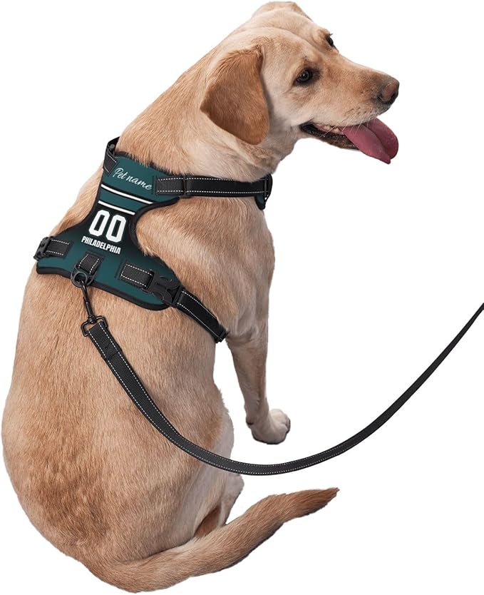 Custom Philadelphia Dog Harness with Reflective Stripes Personalized Name and Number Dog Vest Harness with Pet Traction Rope for Small Medium Large Dog