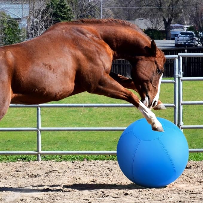 Herding Ball for Dogs and Horses - 25" Jolly Ball for Dogs, Agility Training Equipment, Herding for Australian/German Shepherd, Improved Bite-Resistant, Reinforced Sewing Dog Toys - Blue&Yellow （New）