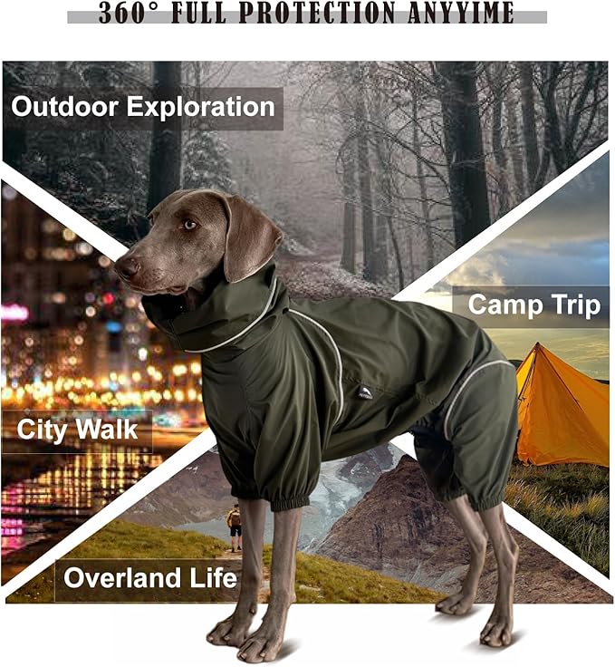 Dog Lightweight Windbreaker, Dog Outdoor 4-Legs Jacket, 0.5 lbs,Durable Water Repellent, Hooded, Easy on/Off with Collar and Harness, Reflective, Packable,Dark Olive (XX-Large)