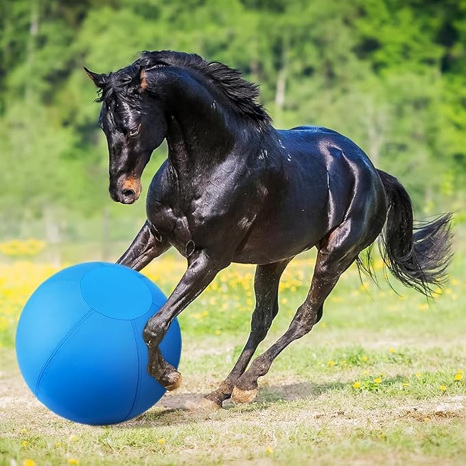 Herding Ball for Dogs- 25" Dog Herding Ball for Dogs/Horse, Dog Agility Equipment for Australian/German Shepherd Collie, Toys for Christmas/Birthday Gifts, Blue