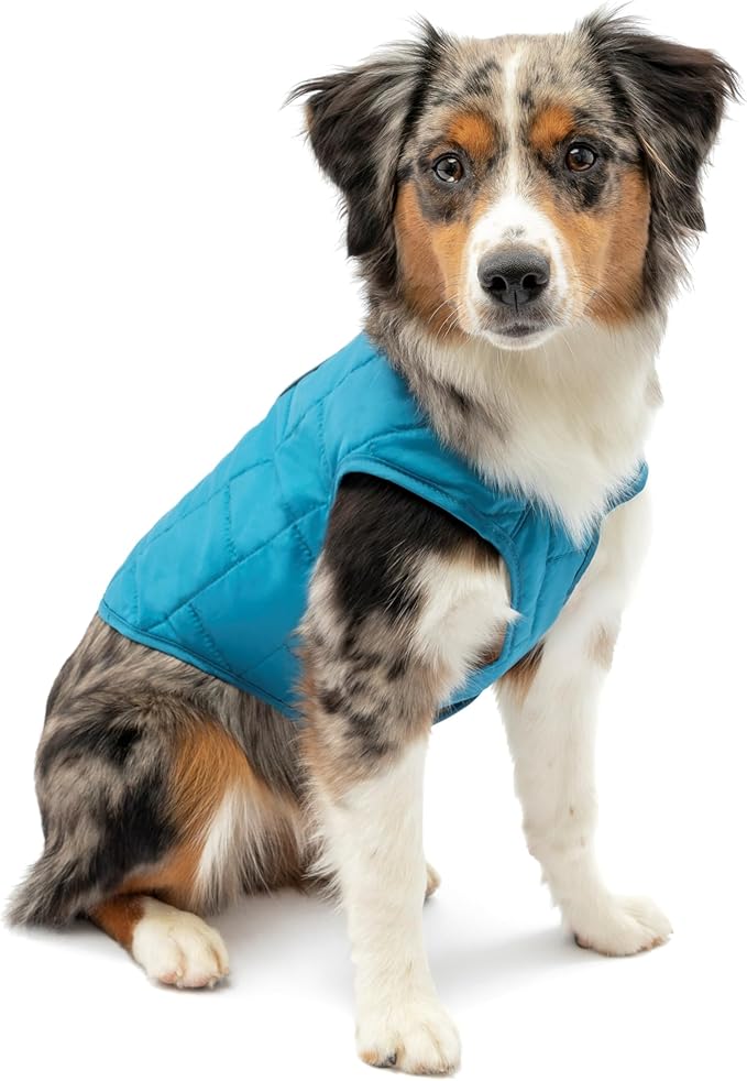 Kurgo Loft Dog Jacket - Reversible Cozy Coat for Outdoor Adventures - Water Resistant - Athletic Fit - Machine Washable Fabric - Reflective Dog Gear - X-Large - Coastal Blue