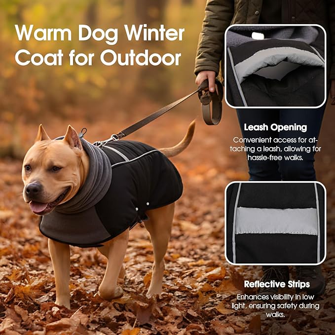 ASENKU Dog Coat, Dog Winter Jackets with Fleece Turtleneck, Windproof, Reflective Pet Snow Jacket Doggie Vest for Cold Weather, Coats for Medium Dogs, Black, M