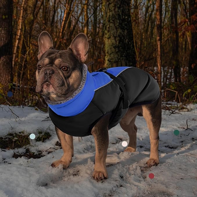 IECOii Extra Warm Reflective Adjustable Dog Jacket with Buckle Fleece Turtleneck for Small Medium Extra Large Dogs in Cold Weather