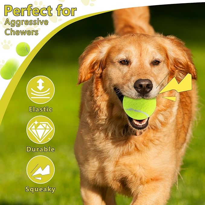 Swingers Squeaky Tennis Balls for Dog,2.5 inch Training Tennis Balls,Exercise Ball for Pet Dog with Mesh Carry Bag Easy to Transport (Multicolor, 24 Pack)