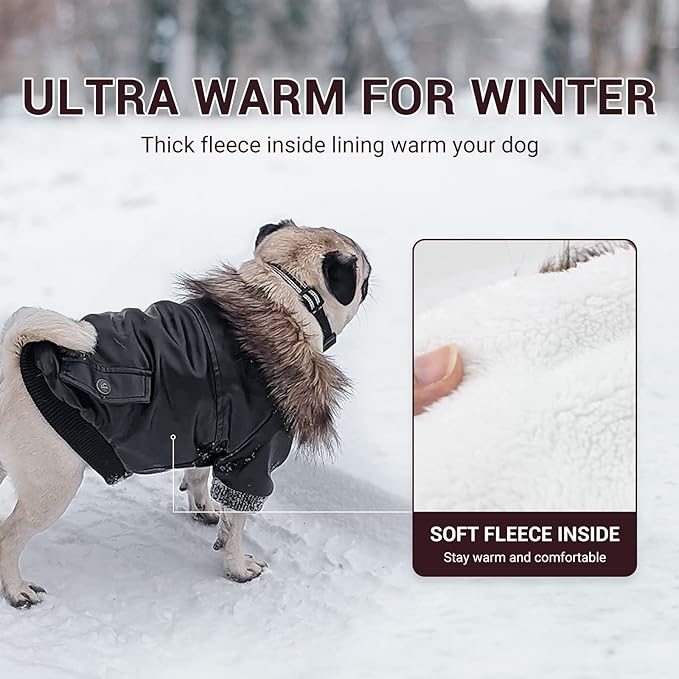 LESYPET Dog Leather Jacket for Small Dogs, Waterproof Dog Winter Jacket Puppy Coat with Fleece Lined, Ultra Warm Fur Collar Doggie Coat, Black M