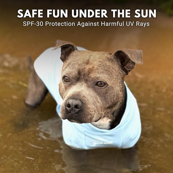 Spark Paws Sunblock Dog T-Shirt, SPF30 Protection, Lightweight Breathable Quick Dry for Dogs with Sensitive Skin - Blue & Grey (Set of 2) - 5XL