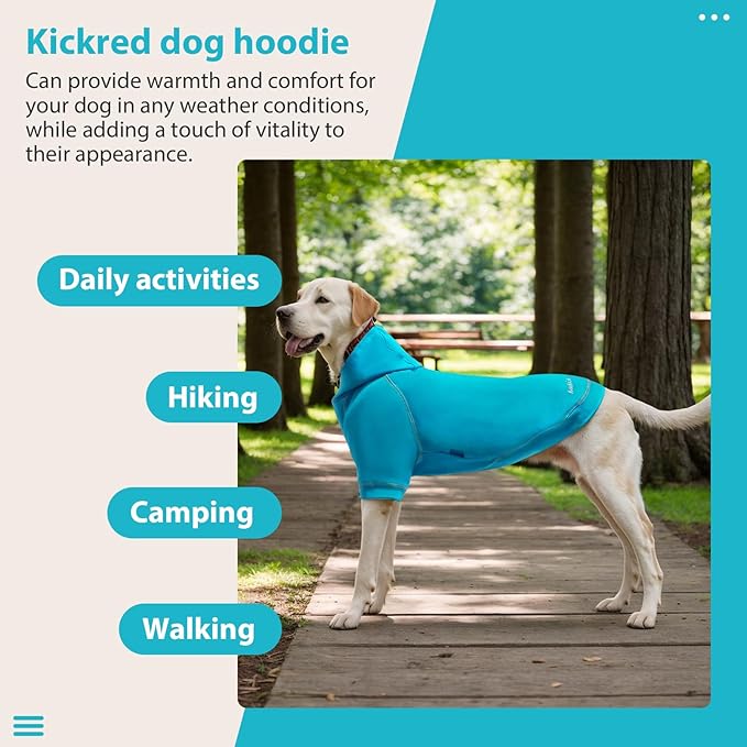 Basic Dog Hoodie Sweatshirts, Pet Clothes Hoodies Sweater with Hat and Leash Hole, Soft Cotton Outfit Coat for Small Medium Large Dogs, Royal Blue (Large)