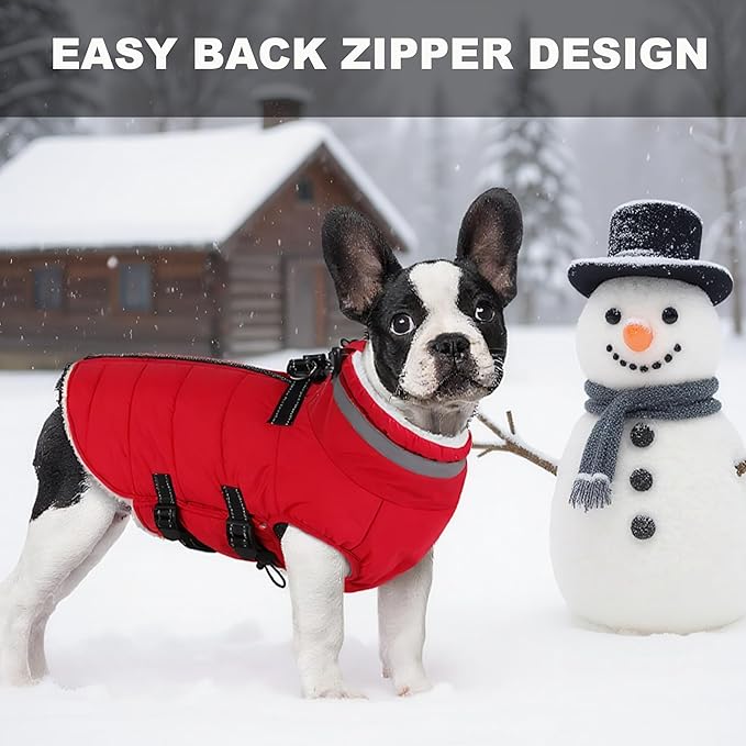 Small Dog Coat with Harness Built-in, Waterproof Reflective Fleece Lined - Warm Windproof Winter Jacket with Back Zipper, Cold Weather Snow Dog Coats - Red - XS
