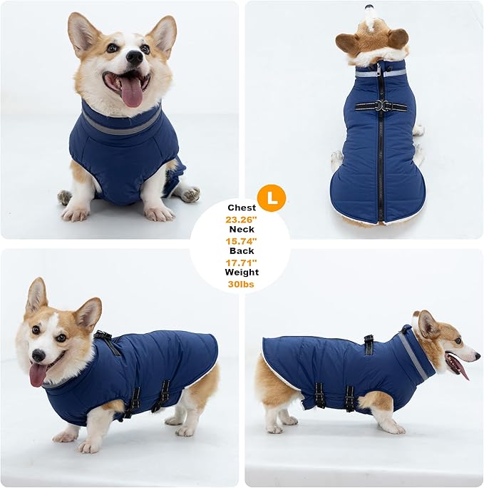 Small Dog Coat with Harness Built-in, Waterproof Reflective Fleece Lined - Warm Windproof Winter Jacket with Back Zipper, Cold Weather Snow Dog Coats - Blue - XS
