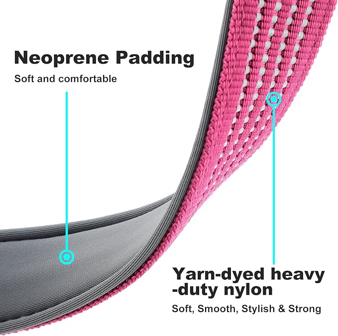 Plutus Pet Reflective Dog Collar with Aviation Aluminum Buckle, Neoprene Padded for Comfort, Lightweight, Heavy Duty Nylon Collar for Puppy Small Medium Large Dogs (Pink, S)
