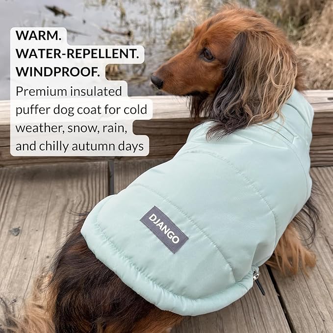 DJANGO Puffer Dog Coat – Warm Winter Dog Jacket & Water-Repellent Insulated Puffer Vest with Striped Lining, Harness Hole, Adjustable Fit for Small & Medium Dogs, Dachshunds – Sea Foam Green, Small