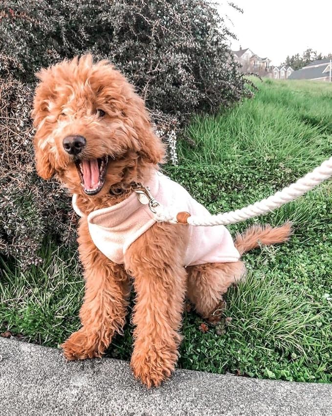 Gooby Fleece Vest Dog Sweater - Peach, X-Large - Warm Pullover Fleece Dog Jacket with O-Ring Leash for Small to Medium Dogs