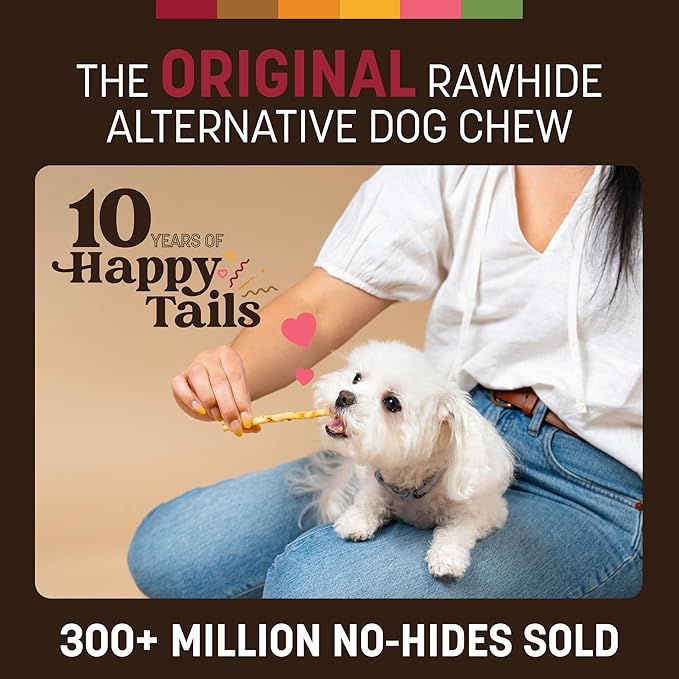 Earth Animal No Hide Stix - Long Lasting Rawhide Free Small Dog Chews Sticks, Beef - 20 Count Value Pack
