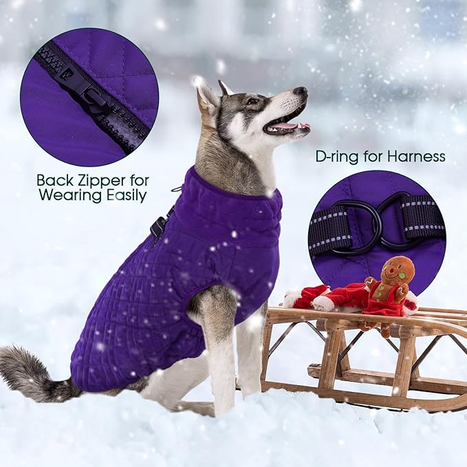 Kuoser XXXL Thermal Dog Suit | Extra Giant Apparel for St. Bernards | D-Ring Safety System Prevents Escape During Storms, Purple XXL