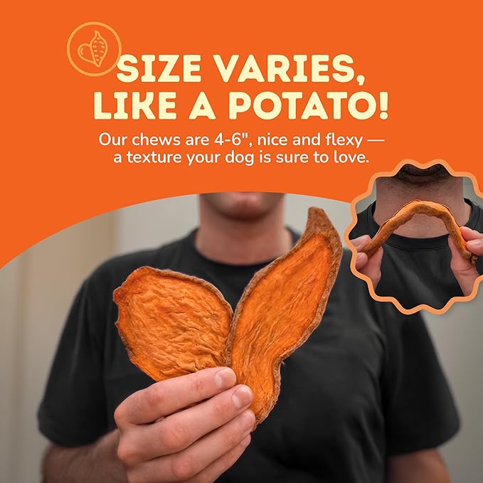 Davie's Sweet Potato Dog Treats - Healthy Dog Chews, Low Fat, Made in USA, 1 lb Bag - Pack of 5
