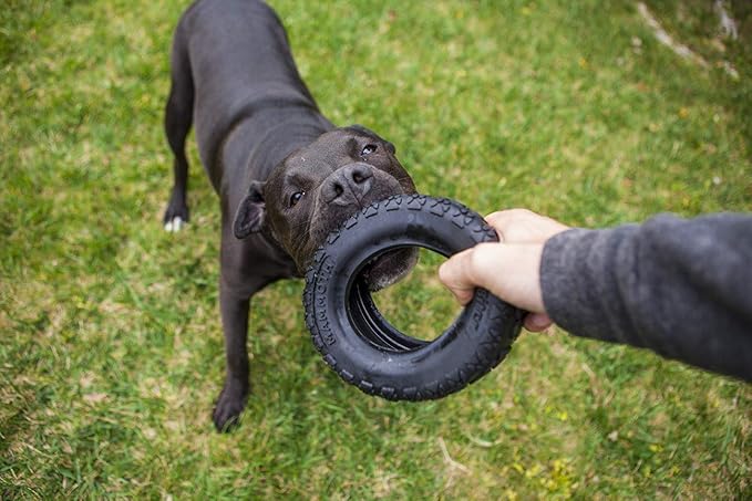 Mammoth TireBiterII Natural Rubber Dog Toy - Large 6" | Extreme Chewer Toy for 50-80 lbs Dogs