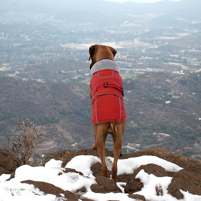 Lelepet Warm Dog Coat Waterproof Dog Jacket Reflective Fleece Vest with Adjustable Buckle Hook & Loop, Windproof Winter Jacket Dogs Coats for Small Medium Large Dogs, Red, S