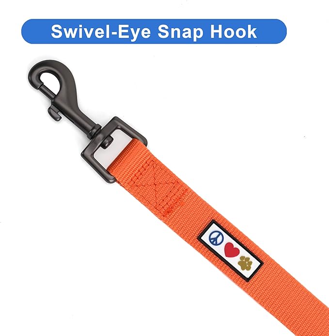 Pawtitas Personalized Dog Leash Embroidered Customize Leash with Your Pet Name & Phone Number Leash Puppy Leash Leash 6 ft Long Dog Leash Puppy Small Leash Orange Custom Engraved Name, Orange ✅ Solid