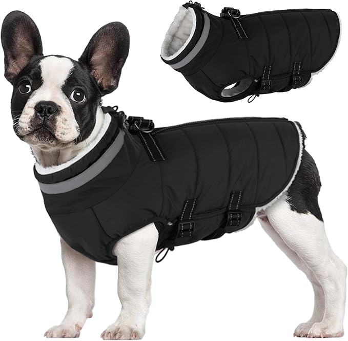Small Dog Coat with Harness Built-in, Waterproof Reflective Fleece Lined - Warm Windproof Winter Jacket with Back Zipper, Cold Weather Snow Dog Coats - Black - XS