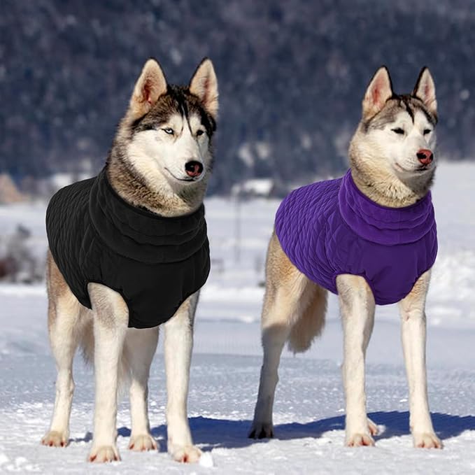 Kuoser Medium Dog Coat | All-Breed Thermal Wear with Windproof Layer | Reflective Tabs Enhance Visibility in Snow, Snap Buckles Simplify Dressing, Black M
